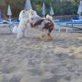 Pensione-famigliare"nonna-Marisa"-402049-0