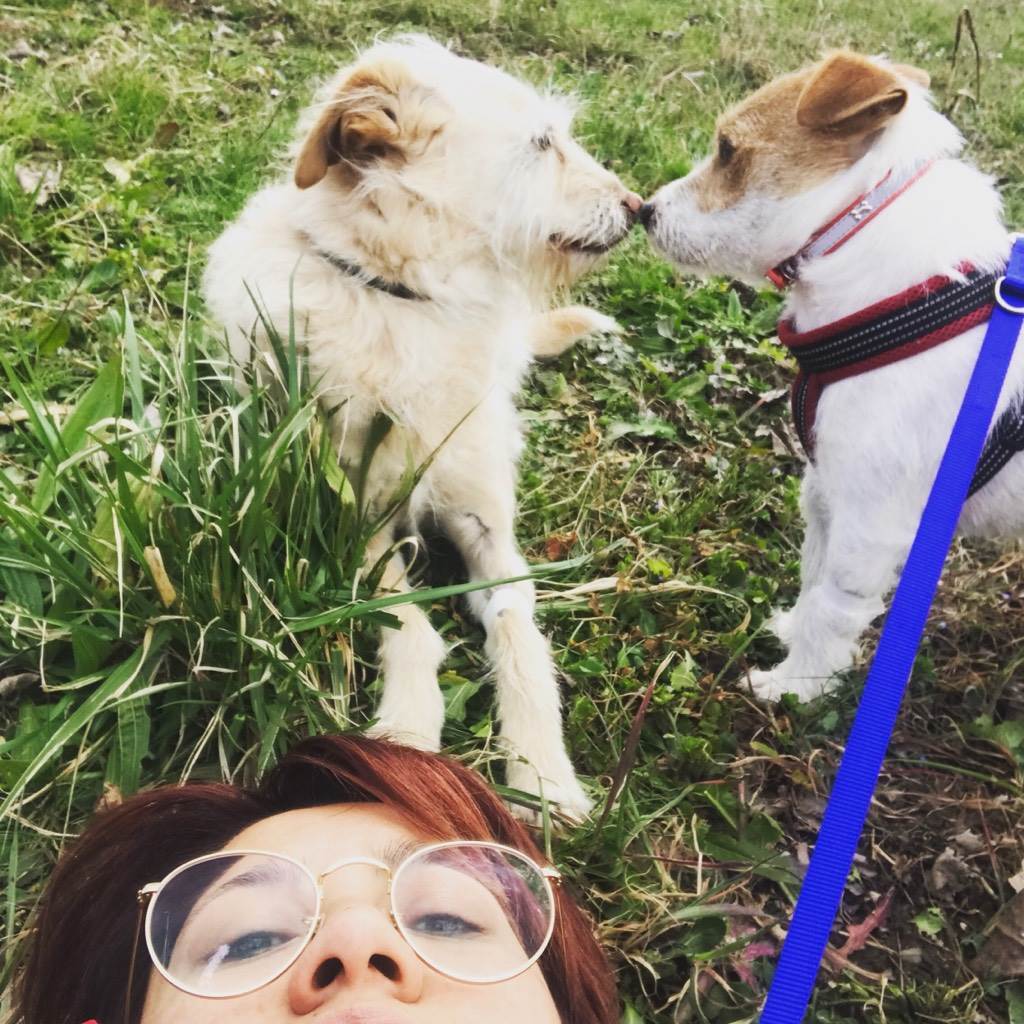 dog-sitter sa katrine e331fad4-562e-44fa-93f1-216b223ebf05
