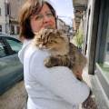 petsitter stranger