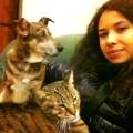 https://it.holidog.com/ImagesPetSitters/953B3979-8663-4D07-B2C8-B133D5AAFB97_square_120.jpg Dog-sitter-e-volontaria-con-amore!-82885-1