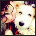 https://it.holidog.com/ImagesPetSitters/966D59A5-5975-4F19-B3C0-1642EB9D5851_square_120.jpg Amici-animali-15399-2