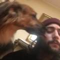 https://it.holidog.com/ImagesPetSitters/97352003-7B91-4E87-B04A-ADF3AA1C5348_square_120.jpg Il-migliore-amico-del-tuo-cane-173818-1
