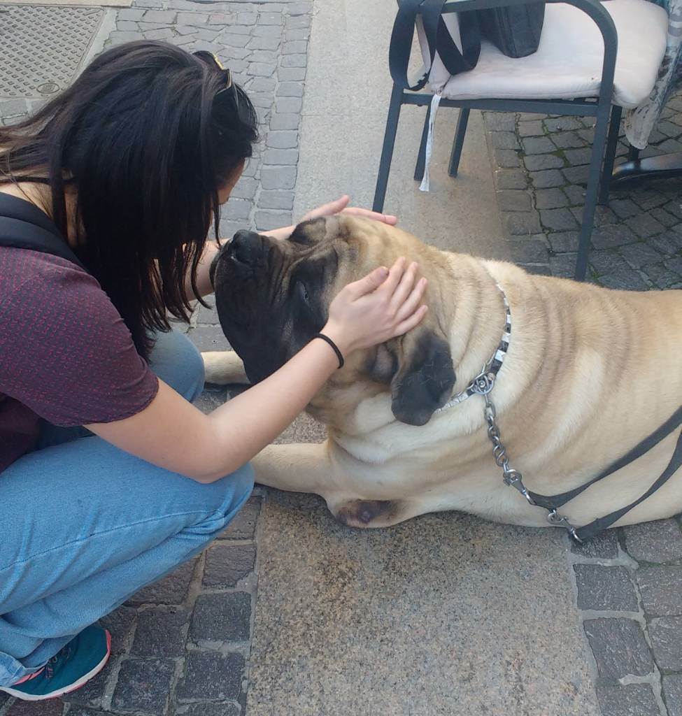 dog-sitter pd michela 44aecfc7-1372-471a-96ac-80f87a9b7a33