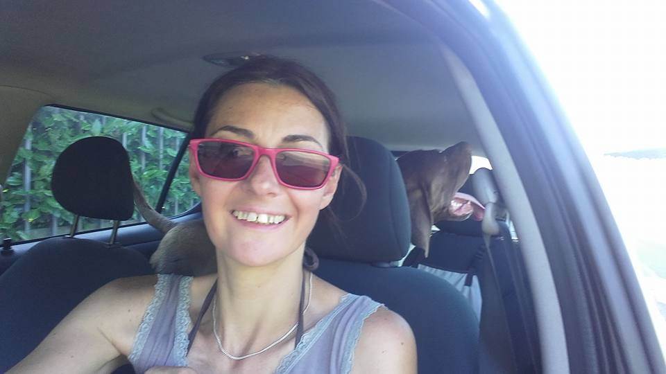 dog-sitter to chiara luisa 68455af5-fbbd-4d65-be5d-6e0f7aa3bef6