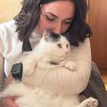 🐾✨Il-tuo-cucciolo-come-a-casa✨🐾-402039-3