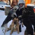 https://it.holidog.com/ImagesPetSitters/A6898820-8D3E-429C-ABCB-108E7677EBC5_square_120.jpg Сura-responsabile-del-cane-393072-1
