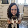 https://it.holidog.com/ImagesPetSitters/A97E00AC-BE7C-4135-95EB-3531E6E7564F_square_120.jpg Cura-e-amore-per-i-tuoi-amici-pet-403945-2