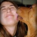 https://it.holidog.com/ImagesPetSitters/AB94F20C-D9D2-4B82-94DA-5A2C074B17E5_square_120.jpg 36041-0