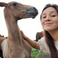 Immenso-amore-per-gli-animali-391615-0