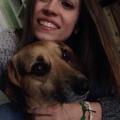https://it.holidog.com/ImagesPetSitters/B014FA7F-0AC3-4EA9-BCD6-DC9FF3F07920_square_120.jpg Compagnia-per-simpatici-cani-32867-3