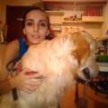 https://it.holidog.com/ImagesPetSitters/B1884F23-DD6A-4D43-BB34-41DF0C425679_square_120.jpg Ottima-compagnia-per-cani-e-gatti-90056-1