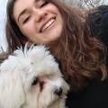 Pet-Sitter-e-Plant-Sitter-🐶😺🪴-403996-1