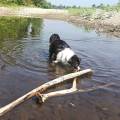 https://it.holidog.com/ImagesPetSitters/B281E19B-A590-4C36-B722-10002CB90A22_square_120.jpg 367793-3