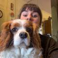 Pet-sitter-a-Prato-370128-1