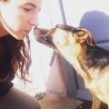 https://it.holidog.com/ImagesPetSitters/BB6D1663-1B61-4779-B9A9-9DC61599AD56_square_120.jpg Studentessa-amante-dei-cani-54297-2