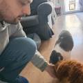 Servizio-di-Pet-Sitting-a-Padova-😻-393294-3