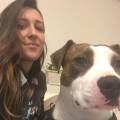 Passione-petsitter-384780-2