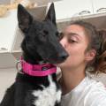 Dog-sitter-qualificata-393193-0