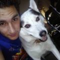 https://it.holidog.com/ImagesPetSitters/CDE9BBC4-981A-46F1-9CB3-D4E3A507CA0D_square_120.jpg Lo-svago-degli-animali-510-2