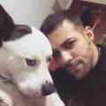 Every-dog-has-is-day!-113722-3