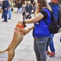 https://it.holidog.com/ImagesPetSitters/D1B40908-6643-45C4-847B-3EFDD8221911_square_120.jpg Ragazza-appassionata-di-animali-120686-1