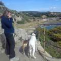 https://it.holidog.com/ImagesPetSitters/D1F5CEB6-CD9C-4797-8A10-696936405BC8_square_120.jpg PetSitter-anche-anziani-e-terapie-412375-1