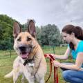 https://it.holidog.com/ImagesPetSitters/D6CBDD24-6A2C-4747-A009-B1C67EDD43B0_square_120.jpg Affidabile-ed-Affettuosa-Pet-Sitter-369548-1
