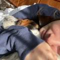 Coccole-e-amore-380387-2