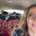 https://it.holidog.com/ImagesPetSitters/DBC060F4-537E-4558-BAF3-BB8EE156CCBB_square_120.jpg Pet-sitter-392437-1