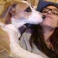https://it.holidog.com/ImagesPetSitters/DE7B85A5-228B-4FF5-998C-CB1875BCEE7A_square_120.jpg Dog-sitter-391163-0