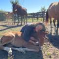 Immenso-amore-per-gli-animali-391615-2