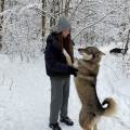 https://it.holidog.com/ImagesPetSitters/E91E8114-A2EE-42D6-AA3A-E7DB65D8A2AD_square_120.jpg Сura-responsabile-del-cane-393072-2