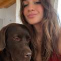 Pet-Sitter-e-Plant-Sitter-🐶😺🪴-403996-0