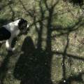 https://it.holidog.com/ImagesPetSitters/EE5E3CE2-8C84-42DA-BB22-7D2057EC4995_square_120.jpg divertimento-e-responsabilità--174262-1