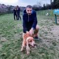 Educatore-cinofile-e-pet-sitting-397834-0