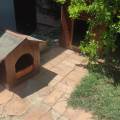 Il-suo-benessere-la-nostra-missione-379246-3