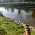 https://it.holidog.com/ImagesPetSitters/F53BBE8C-A5B4-44DA-8B48-25BFAE5C417C_square_120.jpg Ciao-a-tutti!-367592-1