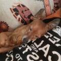 Alice:-amore-totale-per-gli-animali-400933-2