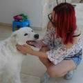 https://it.holidog.com/ImagesPetSitters/FC4D1C7F-55AB-45C6-BB5E-776F6C6719FA_square_120.jpg Happy-dog's-zone.-113347-2