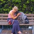 https://it.holidog.com/ImagesPetSitters/FE9ED40B-BC73-45B5-B904-C77780DBB1B2_square_120.jpg 399113-0