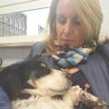 petsitter stranger