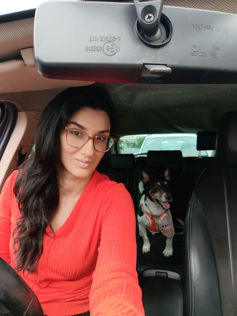 dog-sitter ct agata 10d2977f-c3c7-4914-85de-8c6f7cd0a52c