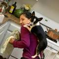 petsitter stranger