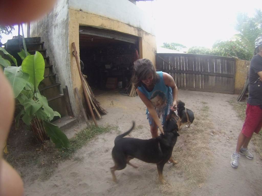 dog-sitter to adele 7e98c95a-281d-41ad-98db-eb130e14de69
