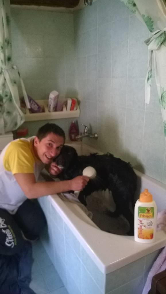 dog-sitter pu alex 3bfb00d0-d199-4f51-9bd6-a082d8a7926c