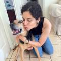 petsitter stranger