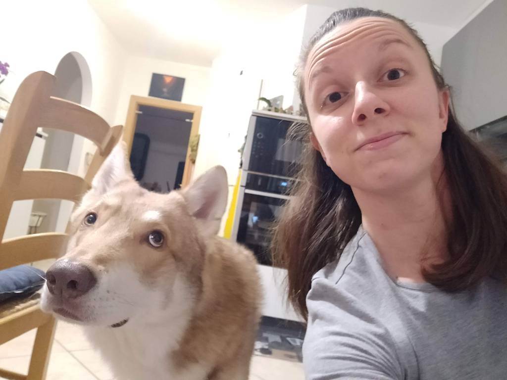 dog-sitter bz tononi 70da82b4-79e9-475d-a029-165f7ff10bfd