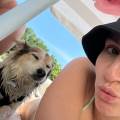 petsitter stranger