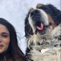 petsitter stranger