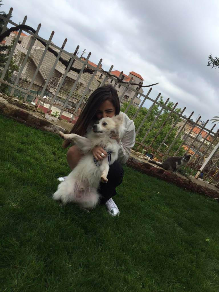 dog-sitter lc anabelle eb3016d7-f223-4a41-b061-c65d6d52dca9
